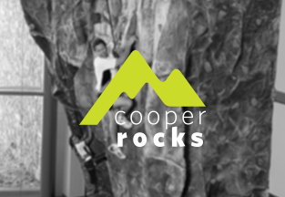 rocks logo